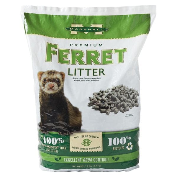 Can Ferrets Use Cat Litter? Essential Tips for Pet Owners