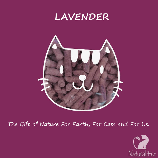 MRC Cat Litter Naturalitter Bio Plant Cat Litter; Lavender