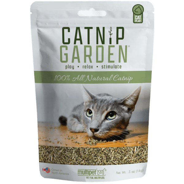 Petland cat prices discount