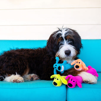 Multipet Multipet Loofa Assorted Plush Dog Toy
