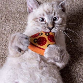 Multipet Multipet Pizza Cat Toy