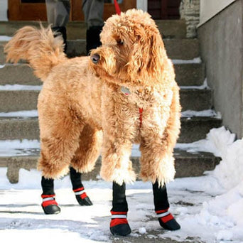 Muttluks Muttluks Fleece Lined Dog Boots
