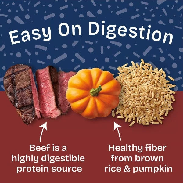 Natural Balance Natural Balance Health Protection Beef & Pumpkin Stew Recipe Canned Dog Food