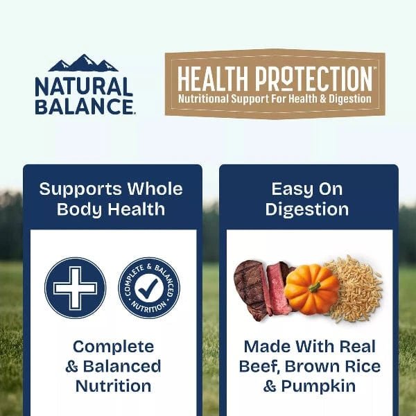 Natural Balance Natural Balance Health Protection Beef & Pumpkin Stew Recipe Canned Dog Food