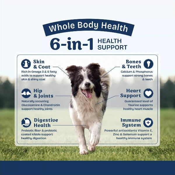 Natural Balance Natural Balance Health Protection Lamb, Brown Rice & Pumpkin Recipe Adult Dry Dog Food