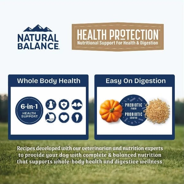 Natural Balance Natural Balance Health Protection Lamb, Brown Rice & Pumpkin Recipe Adult Dry Dog Food
