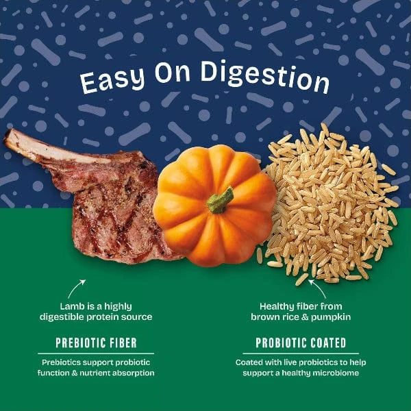 Natural Balance Natural Balance Health Protection Lamb, Brown Rice & Pumpkin Recipe Adult Dry Dog Food