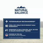 Natural Balance Natural Balance Health Protection Salmon, Brown Rice & Pumpkin Recipe Adult Dry Dog Food