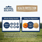 Natural Balance Natural Balance Health Protection Salmon, Brown Rice & Pumpkin Recipe Adult Dry Dog Food