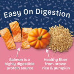 Natural Balance Natural Balance Health Protection Salmon & Pumpkin Stew Recipe Canned Dog Food