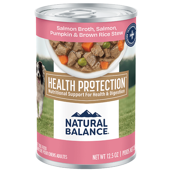 Natural Balance Natural Balance Health Protection Salmon & Pumpkin Stew Recipe Canned Dog Food