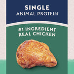 Natural Balance Natural Balance Limited Ingredient Chicken & Sweet Potato Recipe Dry Dog Food
