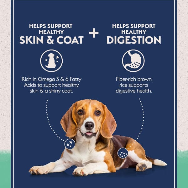 Natural Balance Natural Balance Limited Ingredient Chicken & Sweet Potato Recipe Dry Dog Food