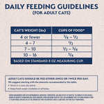Natural Balance Natural Balance Limited Ingredient Grain Free Chicken & Green Pea Recipe Dry Cat Food