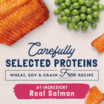 Natural Balance Natural Balance Limited Ingredient Grain Free Salmon & Green Pea Recipe Dry Cat Food