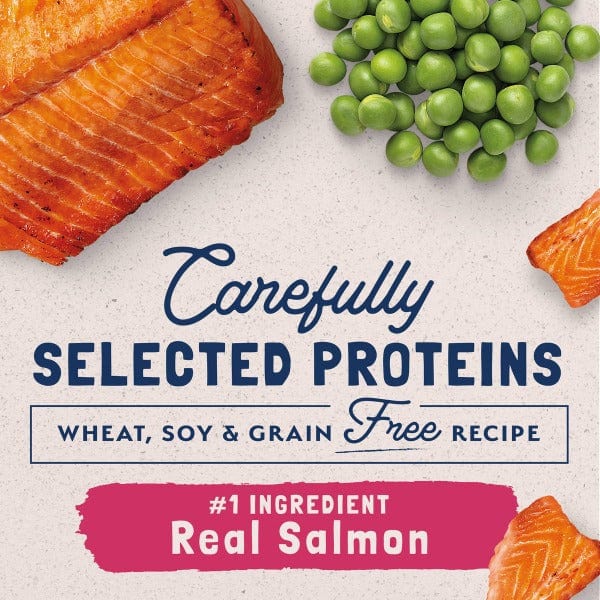 Natural Balance Natural Balance Limited Ingredient Grain Free Salmon & Green Pea Recipe Dry Cat Food