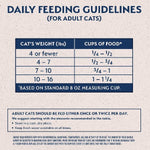 Natural Balance Natural Balance Limited Ingredient Grain Free Salmon & Green Pea Recipe Dry Cat Food