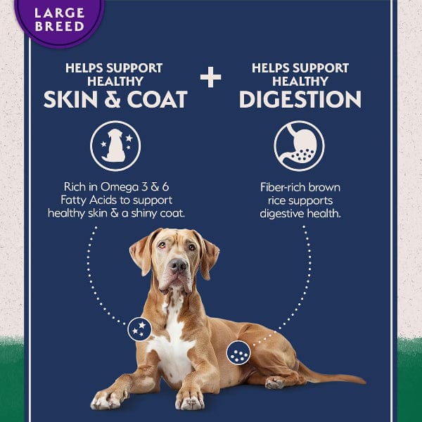 Natural Balance Natural Balance Limited Ingredient Lamb & Brown Rice Large Breed Recipe Dry Dog Food, 26lb