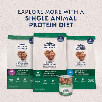 Natural Balance Natural Balance Limited Ingredient Lamb & Brown Rice Large Breed Recipe Dry Dog Food, 26lb