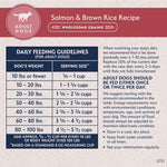 Natural Balance Natural Balance Limited Ingredient Salmon & Brown Rice Recipe Dry Dog Food, 24lb