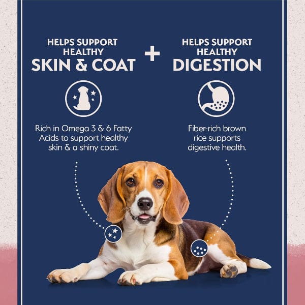 Natural Balance Natural Balance Limited Ingredient Salmon & Brown Rice Recipe Dry Dog Food, 24lb