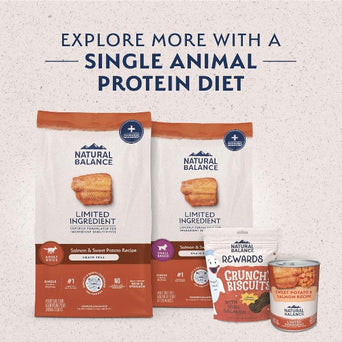 Natural Balance Natural Balance Limited Ingredient Salmon & Sweet Potato Recipe Dry Dog Food