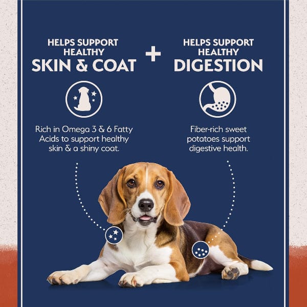 Natural Balance Natural Balance Limited Ingredient Salmon & Sweet Potato Recipe Dry Dog Food