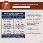 Natural Balance Natural Balance Limited Ingredient Salmon & Sweet Potato Recipe Dry Dog Food