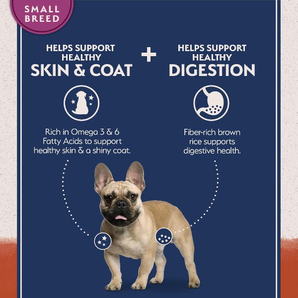 Natural Balance Natural Balance Limited Ingredient Salmon & Sweet Potato Small Breed Recipe Dry Dog Food