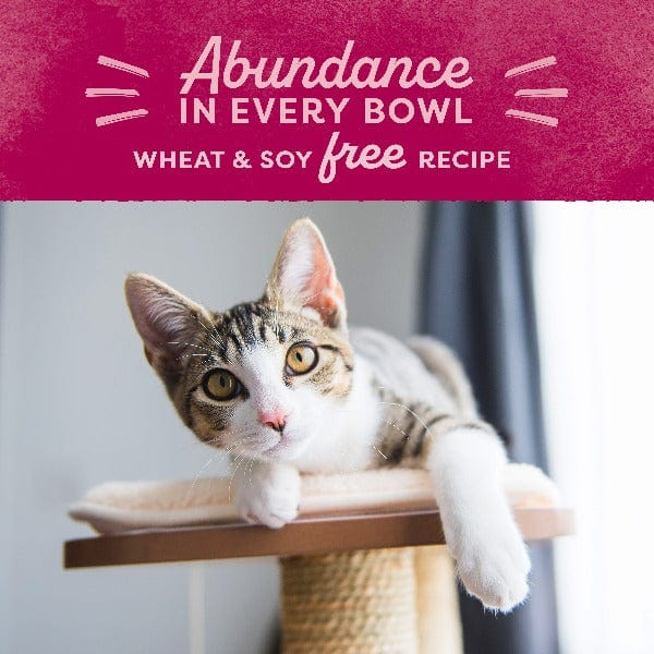 Natural Balance Natural Balance Original Ultra Chicken Meal & Salmon Meal Recipe Dry Cat Food