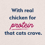 Natural Balance Natural Balance Original Ultra Chicken Meal & Salmon Meal Recipe Dry Cat Food