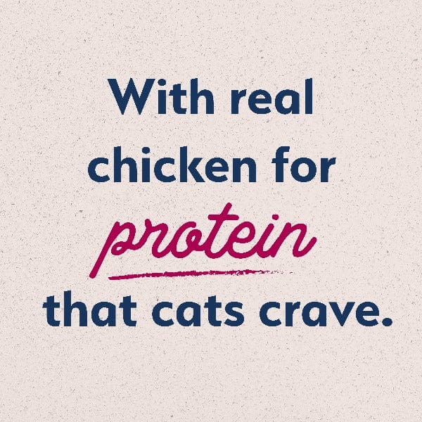 Natural Balance Natural Balance Original Ultra Chicken Meal & Salmon Meal Recipe Dry Cat Food