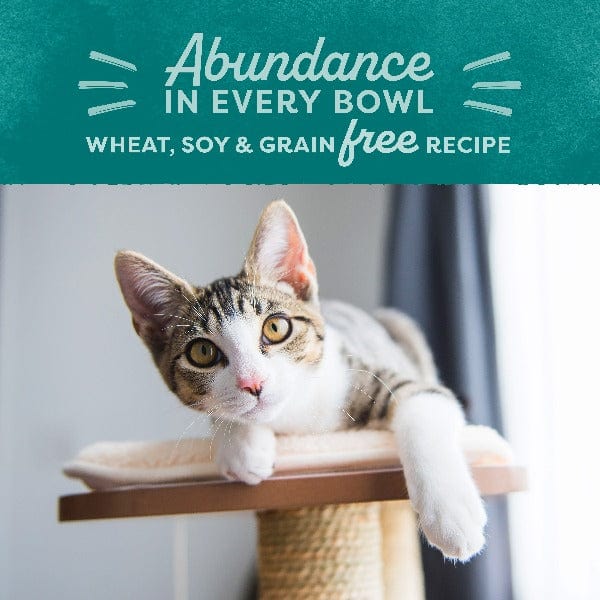 Natural Balance Natural Balance Original Ultra Indoor Chicken & Salmon Meal Recipe Dry Cat Food
