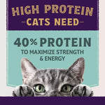 Natural Balance Natural Balance Original Ultra Protein+ Immune and Digestive Health Real Chicken & Chicken Meal Recipe Dry Cat Food
