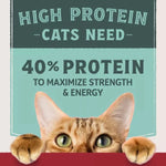 Natural Balance Natural Balance Original Ultra Protein Real Chicken & Chicken Meal Recipe Dry Cat Food