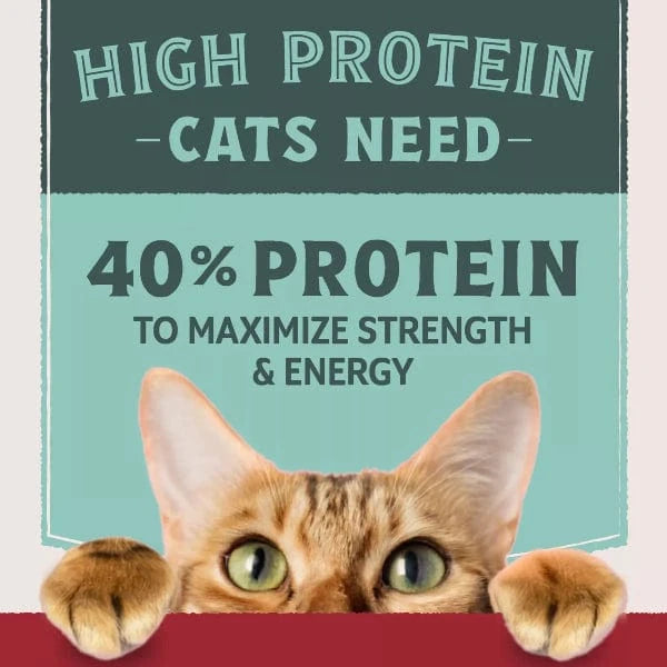 Natural Balance Natural Balance Original Ultra Protein Real Chicken & Chicken Meal Recipe Dry Cat Food