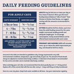 Natural Balance Natural Balance Original Ultra Protein Real Salmon & Chicken Meal Recipe Dry Cat Food