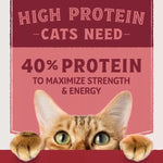 Natural Balance Natural Balance Original Ultra Protein Real Salmon & Chicken Meal Recipe Dry Cat Food