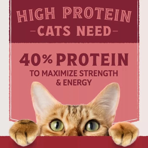 Natural Balance Natural Balance Original Ultra Protein Real Salmon & Chicken Meal Recipe Dry Cat Food