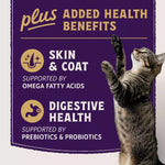 Natural Balance Natural Balance Original Ultra Protein+ Skin & Coat and Digestive Health, Real Salmon & Chicken Meal Recipe Dry Cat Food