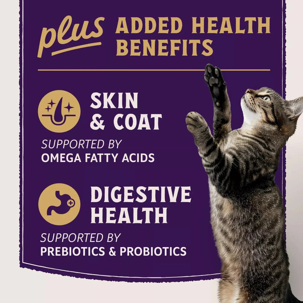 Natural Balance Natural Balance Original Ultra Protein+ Skin & Coat and Digestive Health, Real Salmon & Chicken Meal Recipe Dry Cat Food