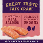 Natural Balance Natural Balance Original Ultra Protein+ Skin & Coat and Digestive Health, Real Salmon & Chicken Meal Recipe Dry Cat Food