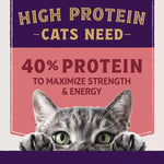 Natural Balance Natural Balance Original Ultra Protein+ Skin & Coat and Digestive Health, Real Salmon & Chicken Meal Recipe Dry Cat Food