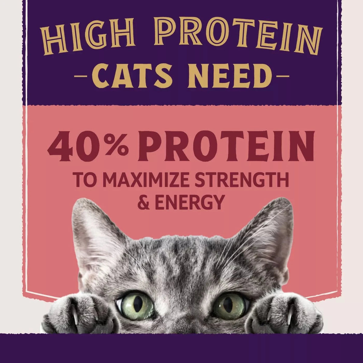 Natural Balance Natural Balance Original Ultra Protein+ Skin & Coat and Digestive Health, Real Salmon & Chicken Meal Recipe Dry Cat Food