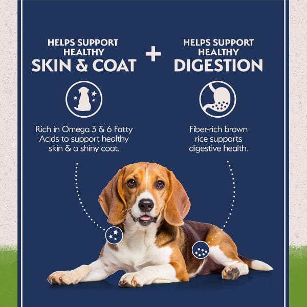 Natural Balance Natural Balance Plant Powered Vegetarian Recipe Dry Dog Food, 24lb