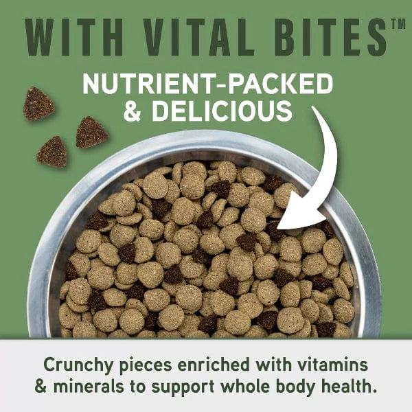Natural Balance Natural Balance Specialized Nutrition Digestive & Immune Health Adult Dry Dog Food