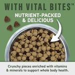 Natural Balance Natural Balance Specialized Nutrition Digestive & Immune Health Adult Dry Dog Food