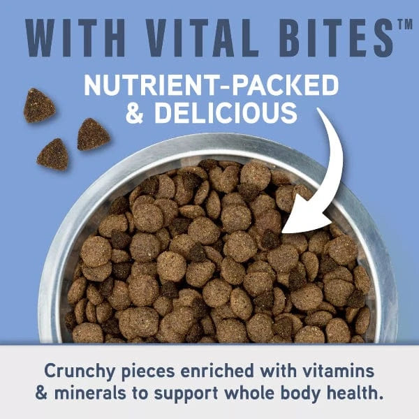 Natural Balance Natural Balance Specialized Nutrition Joint & Muscle Health Adult Dry Dog Food