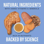 Natural Balance Natural Balance Specialized Nutrition Joint & Muscle Health Adult Dry Dog Food