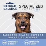 Natural Balance Natural Balance Specialized Nutrition Joint & Muscle Health Adult Dry Dog Food